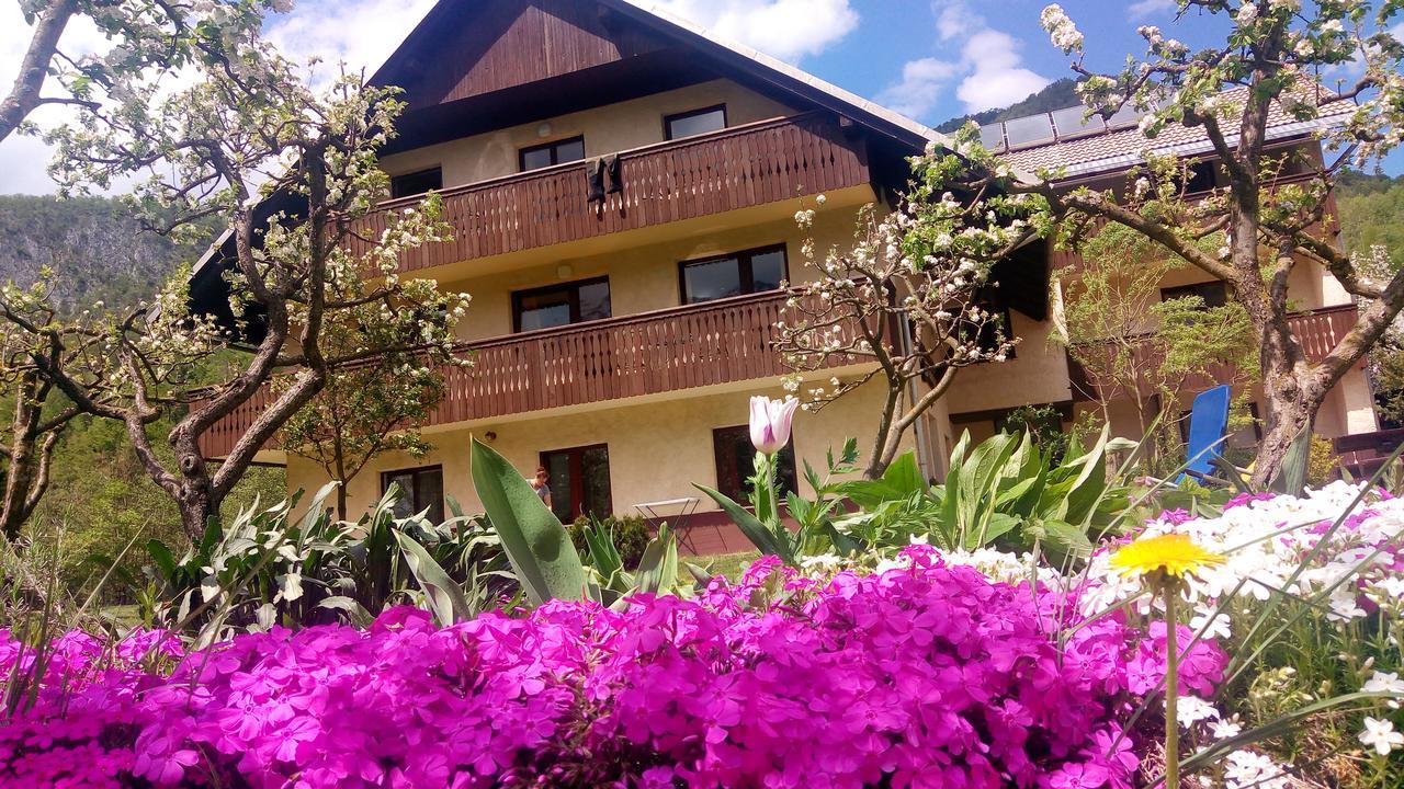 Apartments Arh Bohinj Exteriör bild